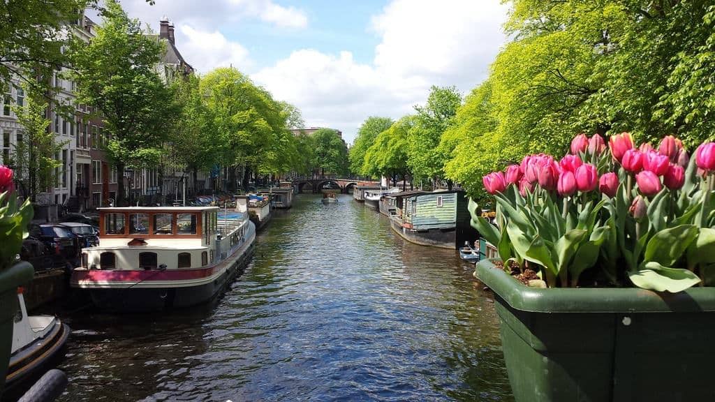 Bar Blend - LGBT bar in Amsterdam, Netherlands - Travel Gay