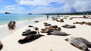 Galapagos? They Hardly Know Us! – The Five Most Beautiful Galapagos Islands We Visit on Our Pride Cruise 2024