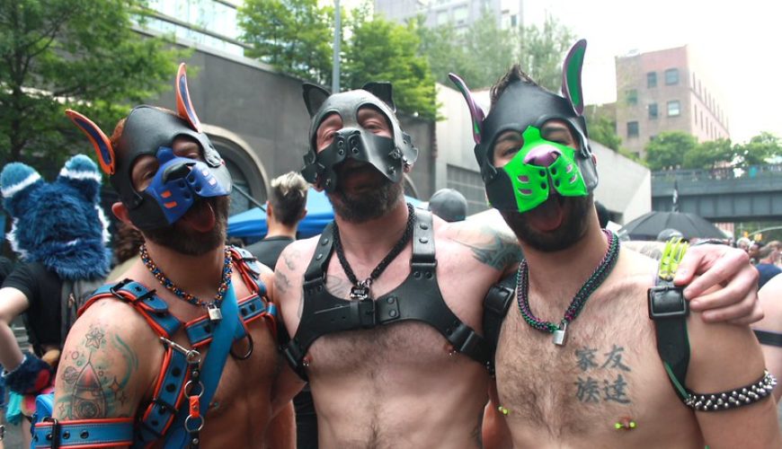 Pup Play Unleashed – A Queer-Friendly Guide for Curious Beginners with Pup Ami